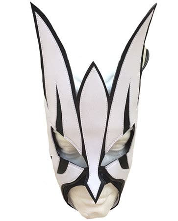 Willow Jeff Hardy wrestling mask - elucha.com