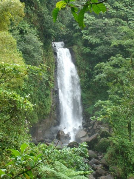 Spectacular Twin Waterfalls | Dominica Island Sun