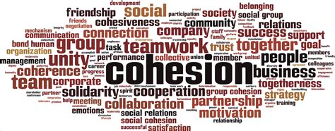 Social Cohesion - ECPS