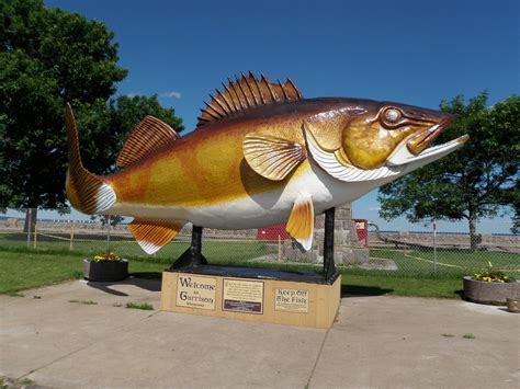 Minnesota DNR Introduces New and Exciting Fishing Opportunities