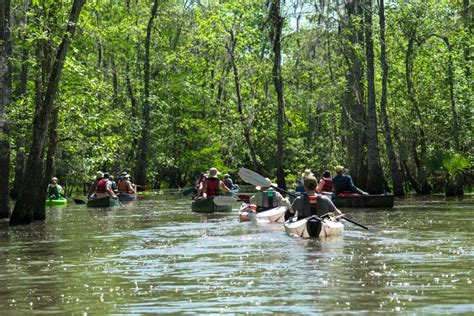 Spring 2022 Paddle at Maurepas Swamp Preserve | Land Trust for Louisiana