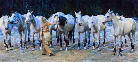 Cavalia Odysseo Orange County Preview ⋆ The Whoa Podcast