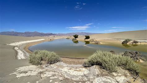 Rare lakes form in Death Valley after historic rainfall | Sacramento Bee