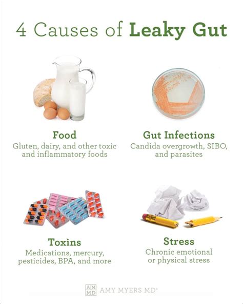 9 Symptoms of Leaky Gut & What To Do | Amy Myers MD