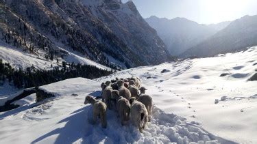 Exploring the Hidden Gem: Kishtwar National Park