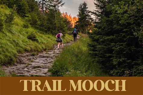 What are the 7 Tips for Hiking? Essential Guide for Beginners - Trail Mooch