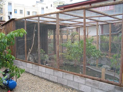 The Chinese Garden: Mixed Small Bird Aviary in China Guangxi Nanning (2 of 3)