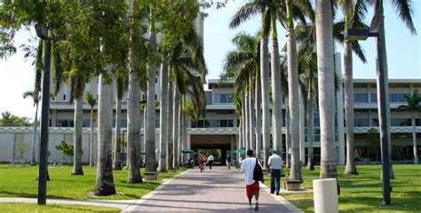 University of Miami – Micefa