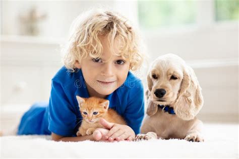 Child, Dog and Cat. Kids Play with Puppy, Kitten Stock Photo - Image of ...