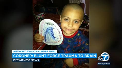 Anthony Avalos death: Coroner testifies that 10-year-old's brain showed sustained abuse - ABC7 ...