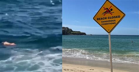 Shark Attack 60 Years Later: Sydney Beaches Banned | shark Attack | Sydney | Sydney beach - timenews