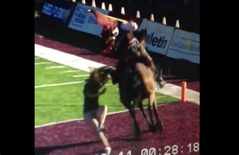 VIDEO: New Mexico State mascot Pistol Pete accidentally knocks over a girl while on horseback ...