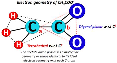 CH3COO- lewis structure, shape, bond angle, charges, resonance