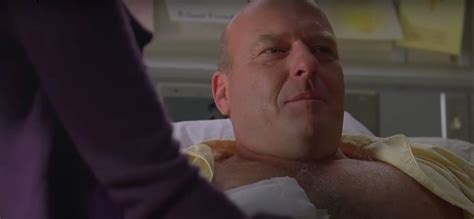 Does Dean Norris' Hank Schrader Die in Breaking Bad? [Spoiler]