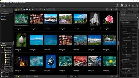 Review: Nikon NX Studio answers our plea for a free, all-in-one editing ...