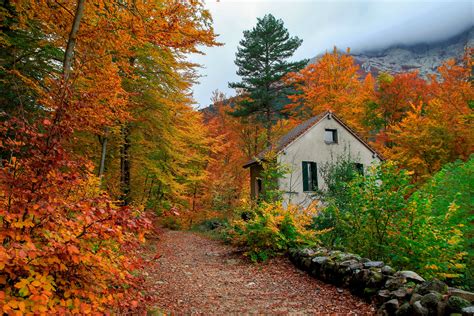 Download Tree Shed House Fall Colorful Man Made Path HD Wallpaper