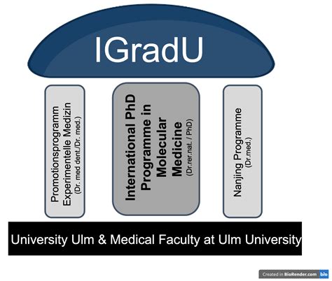 Programmes - Universität Ulm