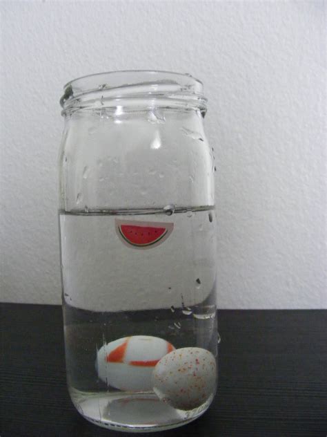 Grumpy Dumpling: Water Displacement Experiment for Kids