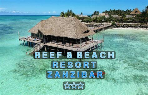 Reef and Beach Zanzibar Package Specials | Dream World Adventures