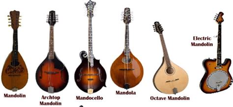 Lute vs Mandolin: What are the Differences?