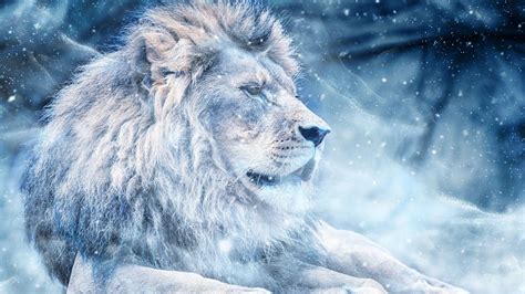 Blue Cool Lion Wallpapers - Top Free Blue Cool Lion Backgrounds - WallpaperAccess