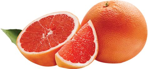 Grapefruit Making Strides in South Africa - Citrus Industry Magazine