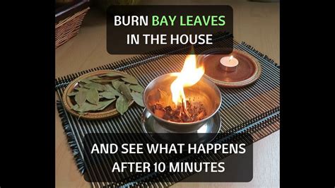 Burn Bay Leaves In The House And See What Happens After 10 Minutes ...