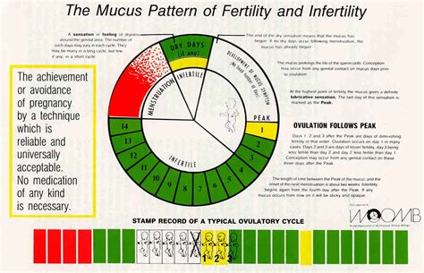 Basics of Natural Family Planning