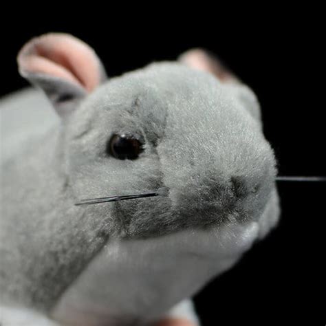 Realistic Chinchilla Stuffed Animal Plush Toy – KEAIart