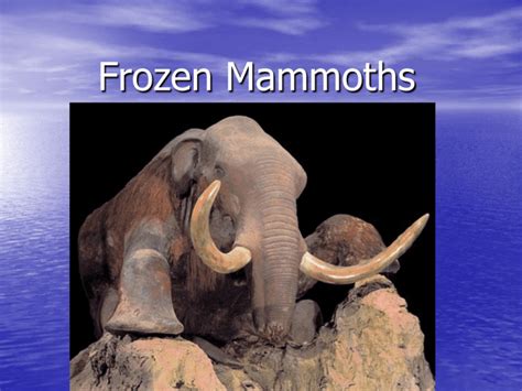 Frozen Mammoths - Wesley Grove Chapel