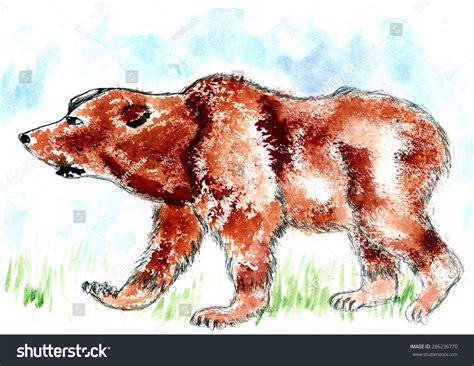 Watercolor Painting Brown Bear Hand Drawn Stock Illustration 286236770 ...