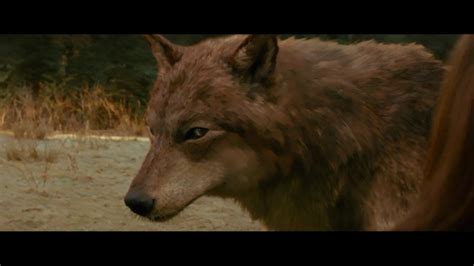 Image - Jacob-wolf-first-time-new-moon.jpg - Twilight Saga Wiki