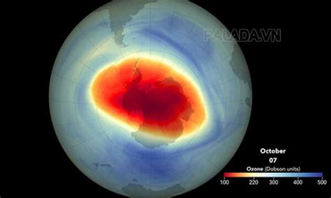Vai trò của tầng Ozon? Nguyên nhân thủng tầng Ozon - Thiết bị vệ sinh công nghiệp Palada