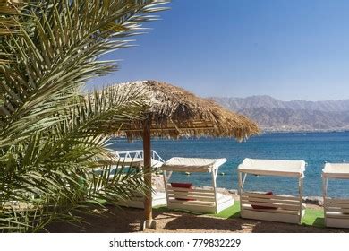 Eilat Beach Israel Stock Photo 779832229 | Shutterstock