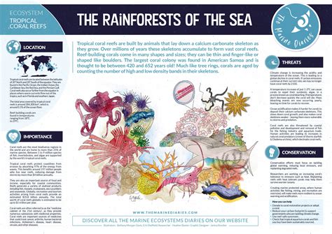 ocean habitats (coral reefs) — oceans aware