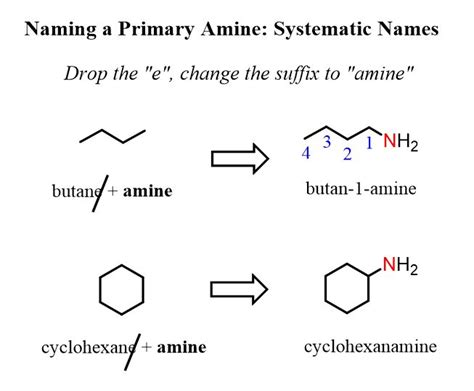 Naming a Primary Amine-Systematic Names | Nomenclature chemistry, Chemistry lessons, Organic ...