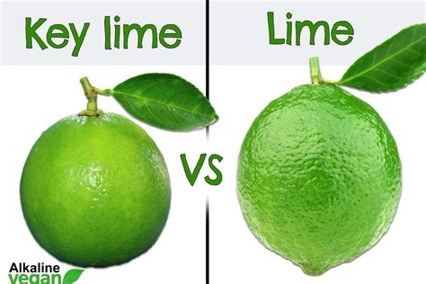 What is the Difference Between a Key Lime and a Lime? - Alkaline Vegan Lounge