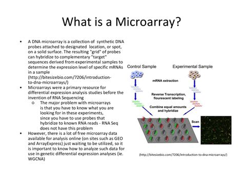 Affymetrix Microarray Tutorial - Speaker Deck