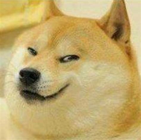 Doge Meme Template Cheems Meme Template Mighty Doggo Cheems Shiba Inu - Vrogue