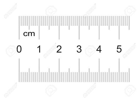 Ruler Of 50 Millimeters. Ruler Of 5 Centimeters. Calibration ...