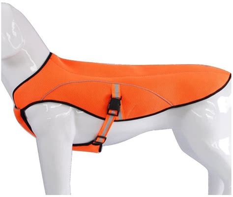 Best Dog Cooling Vest Reviews: Keep your pet comfy