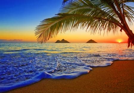 Hawaii sunrise - Beaches & Nature Background Wallpapers on Desktop Nexus (Image 1992428)