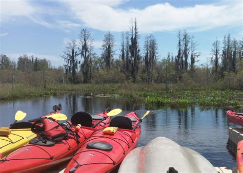 Kayaking the Enchanted Okefenokee Swamp, Florida