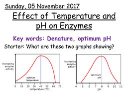 Effect of temperature and pH on enzymes | Teaching Resources