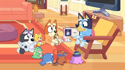 Bluey: New Episodes : ABC iview