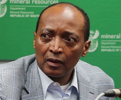 Patrice Motsepe Biography - Facts, Childhood, Family Life & Achievements