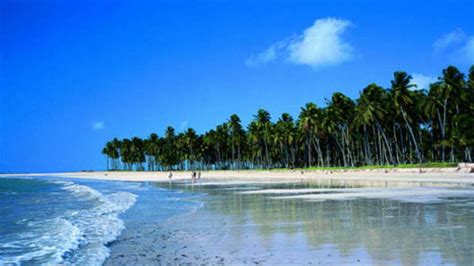 5 Must go Beaches in Pernambuco