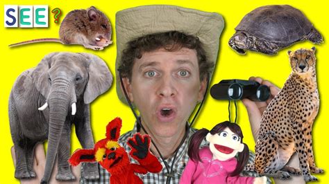 What Do You See? Song with Matt | Describing Wild Animals | I See a Big Elephant | Learn English ...