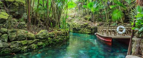 Xel Ha Cancun Mexico | Xcaret, Cancun mexico, Cool places to visit