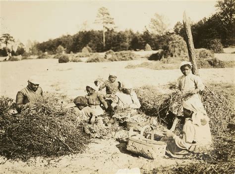 The Colored Farmers' Alliance and Cooperative Union of Virginia ...